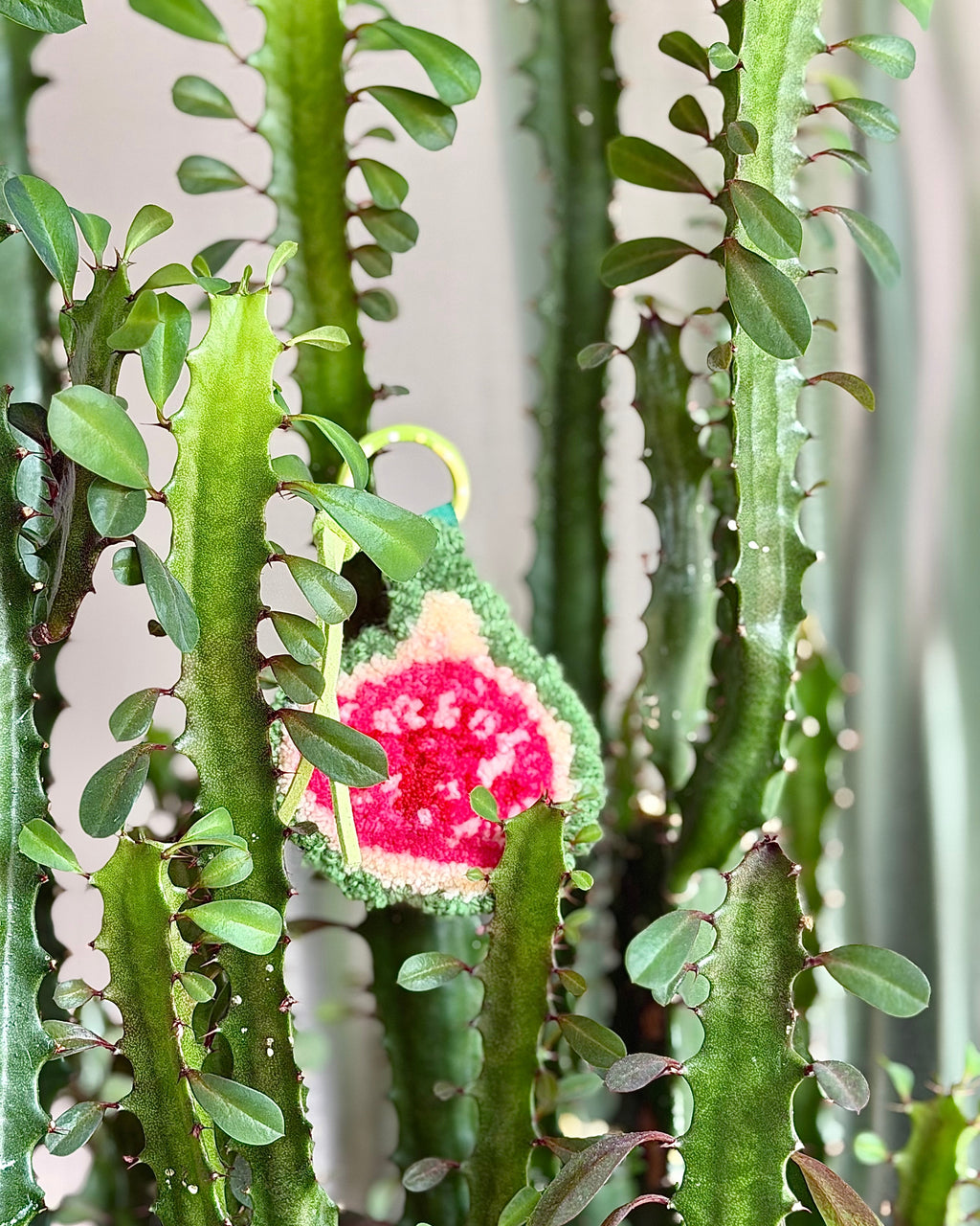 Kadota Fig